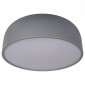 Потолочный светильник Loft IT Axel 10201/480 Grey