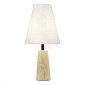 Настольная лампа декоративная ST-Luce Earthy SL1194.404.01