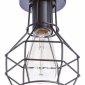 Потолочный светильник Arte Lamp A1109PL-1BK