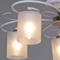 Потолочная люстра  00738-0.3-05