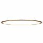 Подвесной светодиодный светильник Loft IT Ring 10014XL