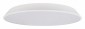 Потолочный светильник Loft IT Brim 10226 White