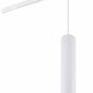 Трековый светильник Denkirs DK6210-WH