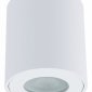 Потолочный светильник Arte Lamp Tino A1469PL-1WH