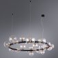 Подвесная люстра Arte Lamp Vincent A7790SP-24BK