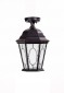 Потолочный светильник уличный Oasis Light ASTORIA 2M 91405MA Bl овал
