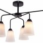 Люстра на штанге Rivoli Jodie 9190-306