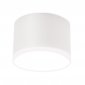Точечный светильник Ambrella light TN TN339