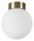 Настенно-потолочный светильник Lightstar Globo 812011