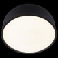 Потолочный светильник Loft IT Axel 10201/350 Black
