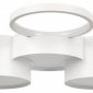 Потолочный светильник Pin 10317/7 White