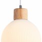 Подвесной светильник Ambrella Light TR TR83133