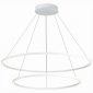 Подвесной светодиодный светильник ST Luce ST605.503.91