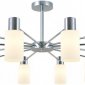Потолочная люстра  74535-0.3-12