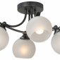Потолочная люстра Vitaluce V2564-1/4PL