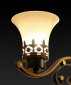 Подвесная люстра Toplight Florence TL7490D-03BL