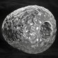 Потолочная люстра Lussole Cullman LSP-8720