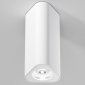 Потолочный светильник Elektrostandard 25110/LED a067062