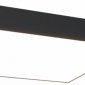 Потолочный светильник Maytoni Zon C067CL-L48B3K