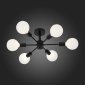 Потолочная люстра ST Luce Ano SL419.402.06