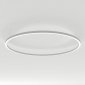 Подвесной светодиодный светильник Arlight SP-Line-Hang-Arc-O3535-D1500-124W Day4000 034013(2)