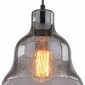 Подвесной светильник Arte Lamp Amiata A4255SP-1SM