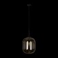 Подвесной светильник Loft IT Oda 10195/350 Amber