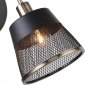 Спот F-Promo Eget 2197-1W