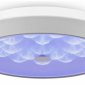 Накладной светильник Freya LED FR10012CL-L24W