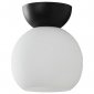 Потолочный светильник iLamp Mono C6079-1 BK+WH