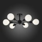 Потолочная люстра ST Luce Ano SL419.402.06
