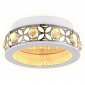 Настенно-потолочный светильник Ambrella light ACRYLICA FA9420