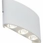 Уличный настенный светодиодный светильник ST Luce Bisello SL089.501.06