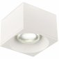 Накладной светильник SIMPLE STORY 2062 2062-LED12CLW