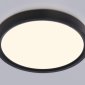 Накладной светильник Ambrella Light FZ FZ1902