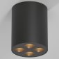 Потолочный светильник Elektrostandard 25111/LED a067484