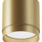 Точечный светильник Maytoni Polar C088CL-GX53-MG