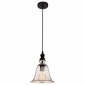 Подвесной светильник Loft IT Loft1812