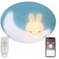 Потолочная люстра Natali Kovaltseva LED LAMPS 81087