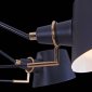 Подвесная люстра Freya Abigail FR5038-CL-06-B