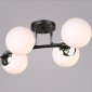 Потолочная люстра  02318-0.3-04 BK+CH