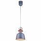 Подвесной светильник Lucia Tucci Industrial 1820.1 Sand Silver