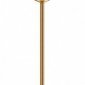 Торшер Loft IT Gladiole 10382F