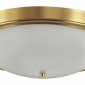 Настенно-потолочный светильник Lumion Nina 5259/4C