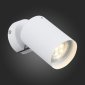Настенно-потолочный светильник ST Luce Fanale SL597.501.01