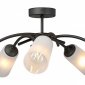 Потолочная люстра V2850-1/5PL
