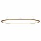 Подвесной светодиодный светильник Loft IT Ring 10014L