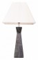 Интерьерная настольная лампа Abrasax MT68376BP