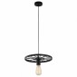 Подвесной светильник Toplight Vanessa TL1201H-01BK