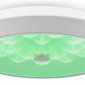 Накладной светильник Freya LED FR10012CL-L24W